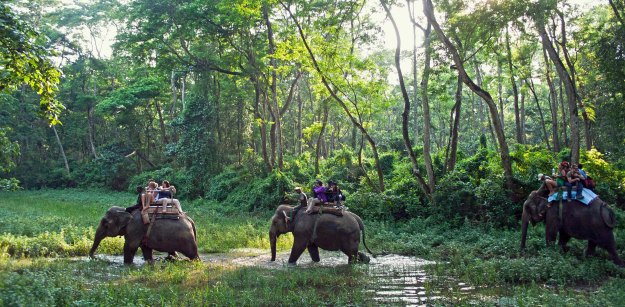 Chitwan_National_Park_original_2800